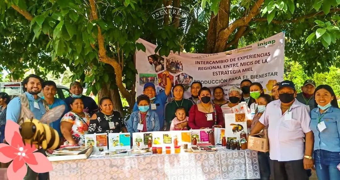 Productoras, productores y equipo de Agroindustria Honey Kaab
